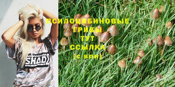 герыч Осинники