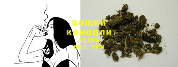 мет Няндома
