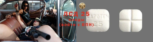 мет Няндома