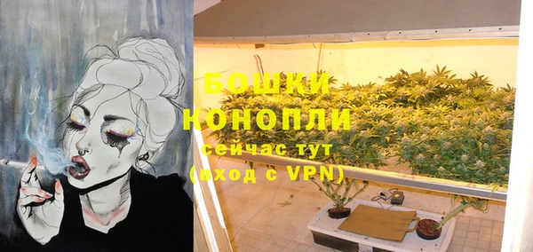 мет Няндома