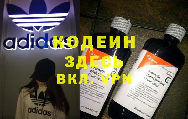 мет Няндома