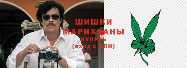 прущие грибы Видное