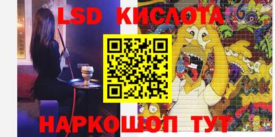 дмт Аргун