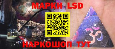 дмт Аргун