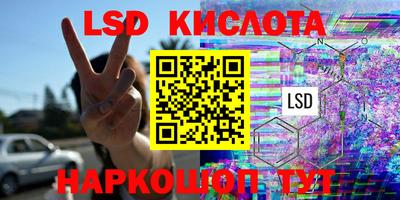 дмт Аргун