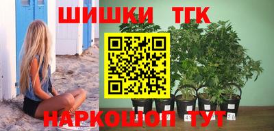 дмт Аргун