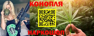 дмт Аргун
