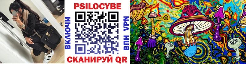 darknet клад  Санкт-Петербург  Псилоцибиновые грибы Cubensis  KRAKEN ССЫЛКА 