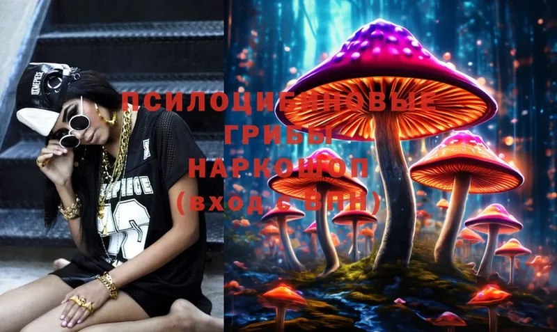 Псилоцибиновые грибы MAGIC MUSHROOMS  Санкт-Петербург 