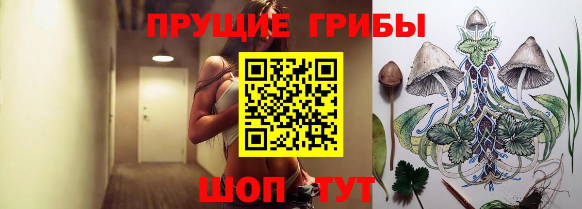 Псилоцибиновые грибы мицелий Санкт-Петербург