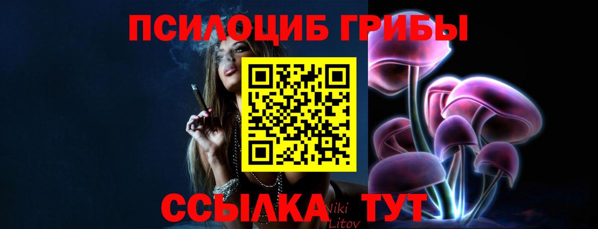 Санкт-Петербург  Псилоцибиновые грибы Psilocybe  Вход с VPN 